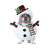 California Costumes Dog Snowman Costume Large