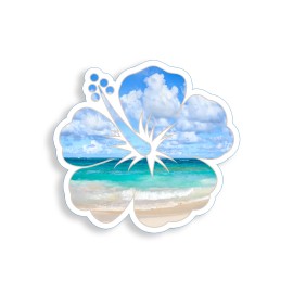 Real Sticky Hibiscus Flower Sticker Beach Ocean Cup Laptop Car Vehicle Window Bumper Decal