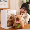NatureMan Cute Capybara Stuffed Animals,Kawaii Capybara Plush Toys, 30cm Capybara
