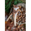 WILDLIFEGARDEN Wildlife Garden WG4996 Nutcracker Squirrel Decorative Hand Carved Nutcracker