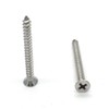 ZLYY 100pcs M4x40mm Stainless Flat Head Phillips Self-Tapping Wood Screw