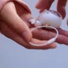 LUOFENG Whale Keychain,Whale Keychain,Sea Animal Keychain for Car Bag Keychain