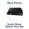 Pop Fizz Designs | Bolsa de globo reveladora de género