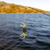 XPEX Pack of 3 Simulation Crab Bait, Crab Sharp Hook