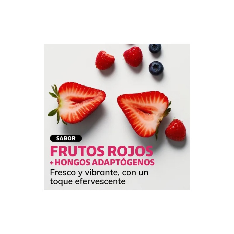 Electrolitos Con Hongos Sin Azúcar En Polvo Beyond Vitamins |