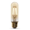 Feit Electric Vintage Exposed Filament Amber Glass LED T10 with