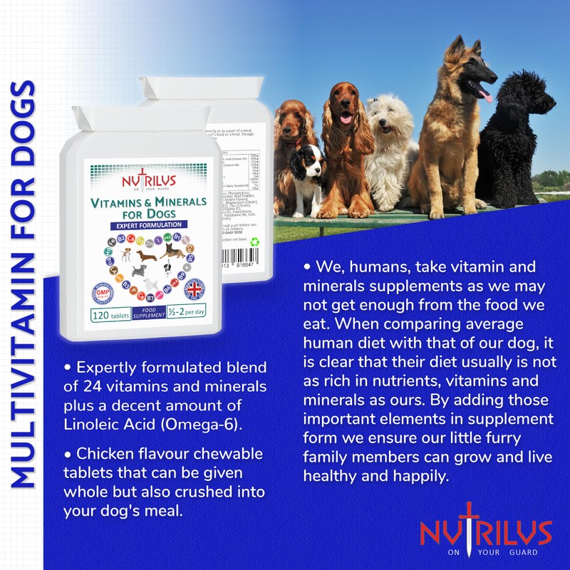 Vitamins and Minerals for Dogs - 120 Chewable Chicken Flavour