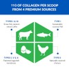 BioTrust Ageless Multi Collagen Protein | 5 en 1 Collagen