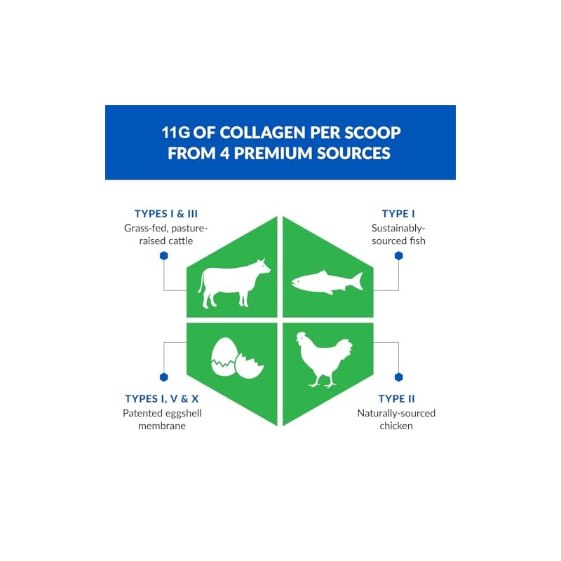 BioTrust Ageless Multi Collagen Protein | 5 en 1 Collagen