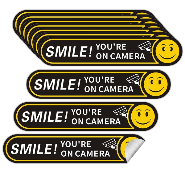 10 pieces Smile You're On Camera Stickers for Cars, 24