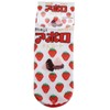 Sox Apollo