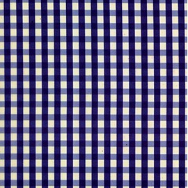Blue Waterproof Meal Apron Gingham Blue