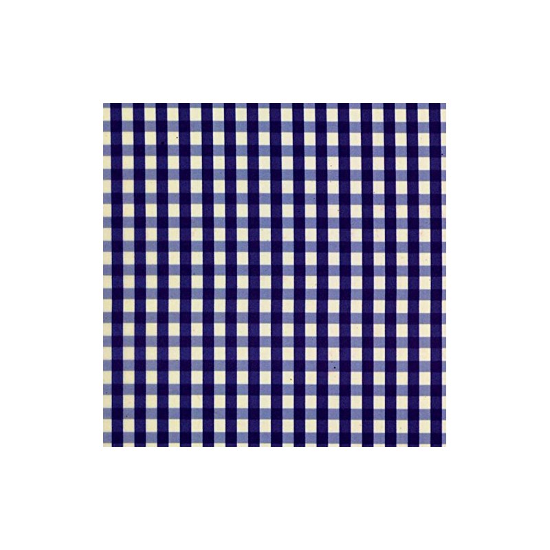 Blue Waterproof Meal Apron Gingham Blue