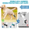 Supet Dog Leg Brace for Back Leg - Hock &
