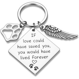 Pet Memorial Gift Loss of Dog Keychain Sympathy Loss of Cat Gift Pet Loss Keyring in Memory of Dog Pet Sympathy Cat Lover Family Friends Remembrance Gifts (Memorial B)