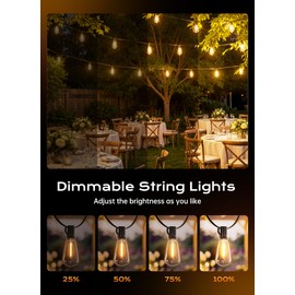 Minetom 100FT Outdoor String Lights with Remote, ST38 Patio Lights Dimmable