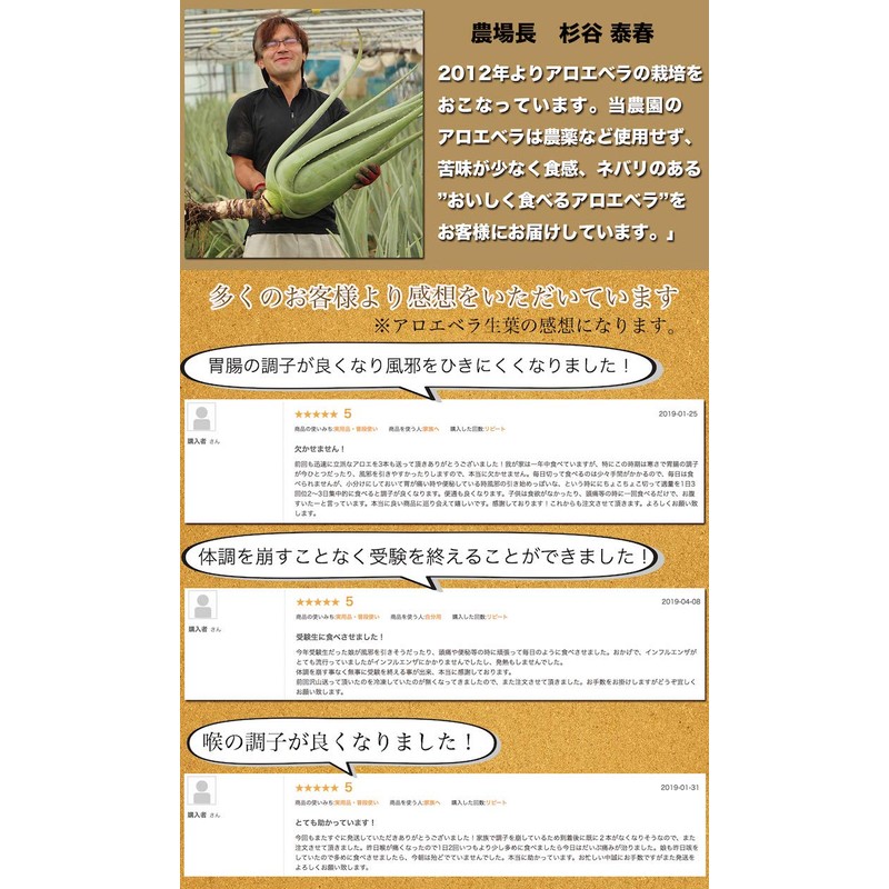 Cut Aloe Vera 80 g (Mainichi Aloe) / Aloe Vera