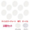 Set of 10 Nail Color Chart (Oval, Clear)