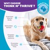 Outward Hound by Planet Dog Foodies Strawberry Treat-Dispensing Dog Chew