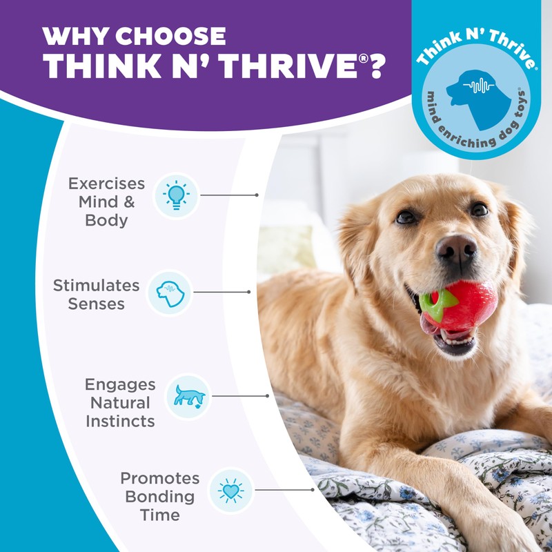 Outward Hound by Planet Dog Foodies Strawberry Treat-Dispensing Dog Chew