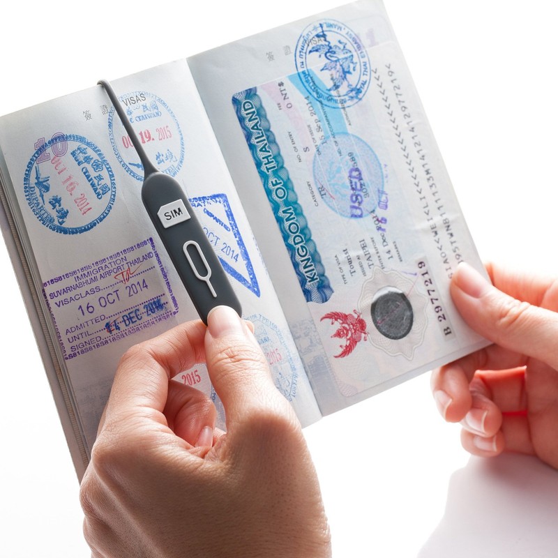 Lead Trend LT12468 SIM Card Holder, S-keeper, Gray/Green, SIM, Lost