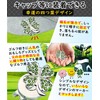 Golf Marker with Magnet (Good Luck, Quatrefoil Design, Stylish) For