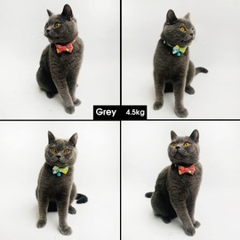 Cognatio Quick Release Cat Collars, Fruit Patterned Kitten Collars with Removable Bell and Bow Tie, Adjustable 20-30 cm, 2 Pack, Lemon Red+Blue