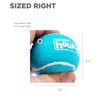 Outward Hound Tennis Ballz Fetch Dog Toy, 4-Pack