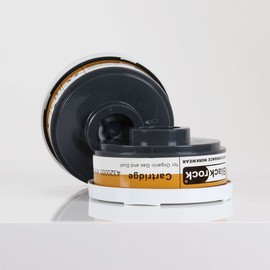 Blackrock 2 pack Filter Cartridges for 4310000-A1P2