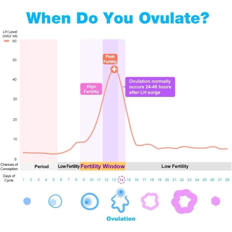 Easy@Home Ovulation Test Kit: 30 LH Strips + 30 Cups,