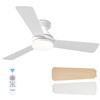 Amico Ceiling Fans with Lights, 42 inch Low Profile Ceiling