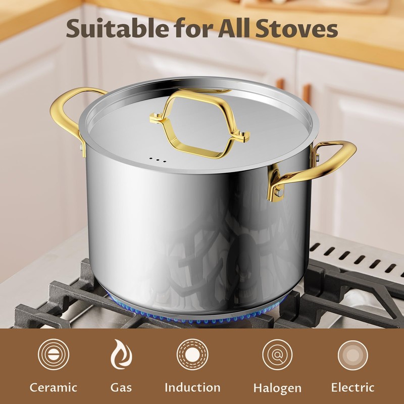 BEZIA 12 Qt Stainless Steel Stock Pot with Lid, Induction