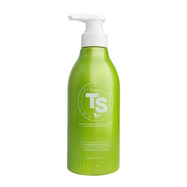 Premium TS Treatment 500g 1ea TS Damaged Hair Care / 프리미엄 TS 트리트먼트 500g 1개 티에스 손상모케어