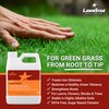 LawnStar Liquid Iron (32 OZ) for Plants - Multi-Purpose, Suitable
