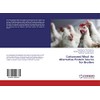 Cottonseed Meal: An Alternative Protein Source for Broilers