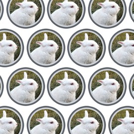 GRAPHICS & MORE Premium Gift Wrap Wrapping Paper Roll Holiday Easter Bunny - Rabbit Bunny White Easter