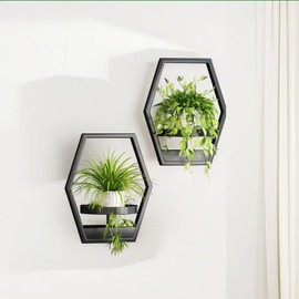 Dazioter Wall Plant Holde，Metal Hanging Planters， Plant Stand Indoor Hanger for Flower Pot Geometry Decor Shelf and Plant Storage (Pot Not Included) (Black, 2Pack)