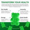 NavoSupply-Vegetable Fibre Gummies 60 Pieces: Boost Fibre Intake + Multi-Nutrient