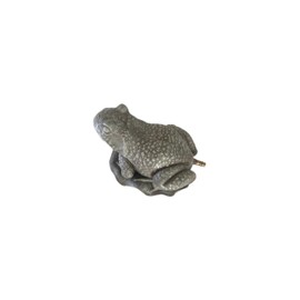 Frog Pond Water Spitter Aerator