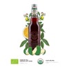 Galvanina - Chinotto - Premium Organic Italian Sparkling Fruit Beverage