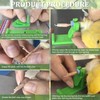 Upriver 40pcs Bird Ring Leg Bands with 1 Installer, 2.3/3mm