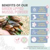 Dragonfly Products | Green Lipped Mussel Powder for Dogs and