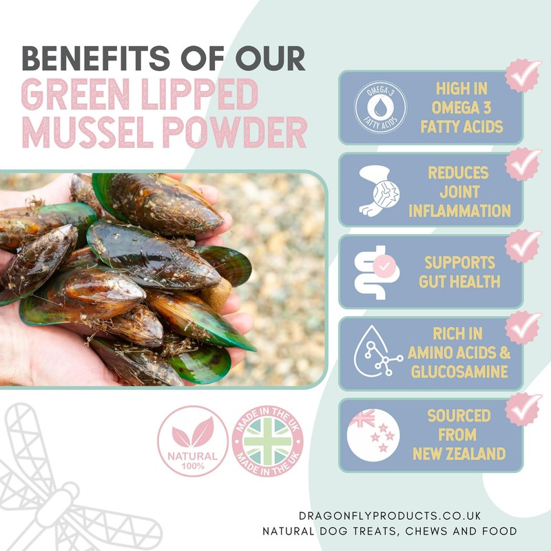 Dragonfly Products | Green Lipped Mussel Powder for Dogs and