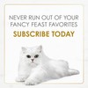Purina Fancy Feast Gravy Lovers Beef Feast Pate in Wet