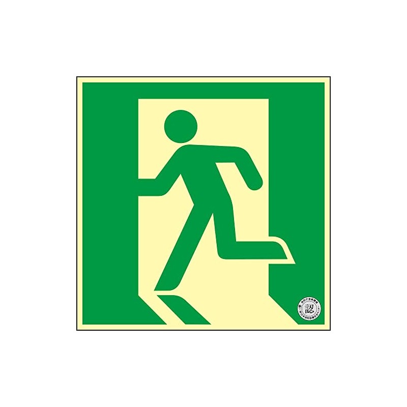 Green Cross 068831 Medium Brightness Luminous Evacuation Exit Guide Sign,