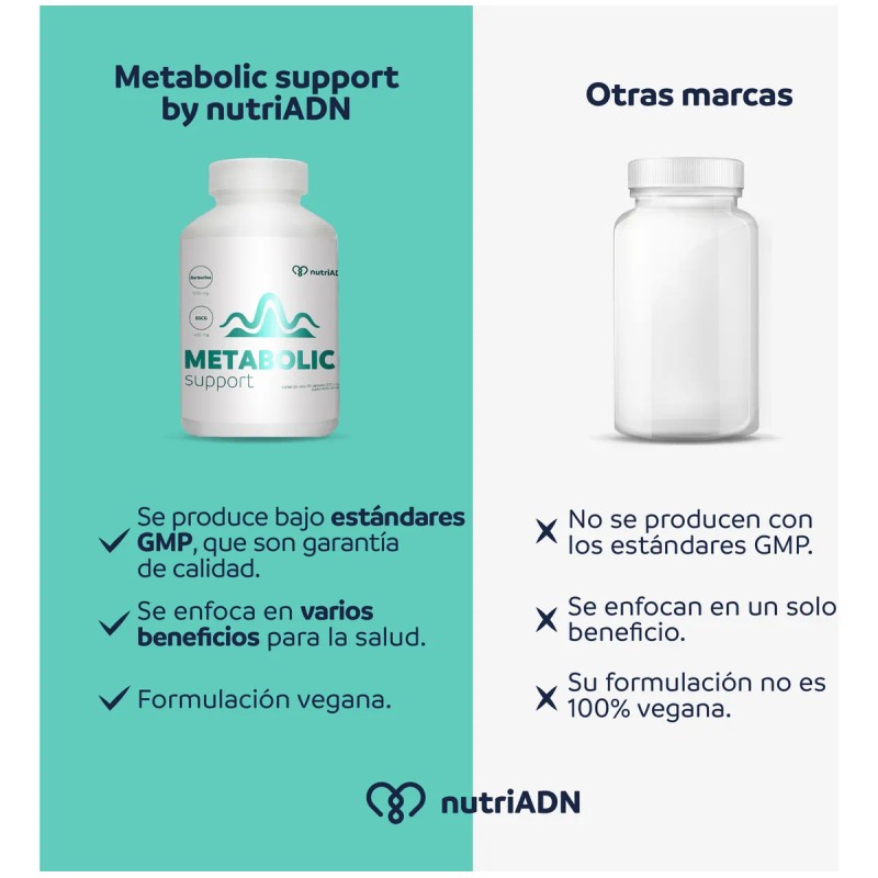 Berberina 60 Capsulas Metabolic Support Suplemento