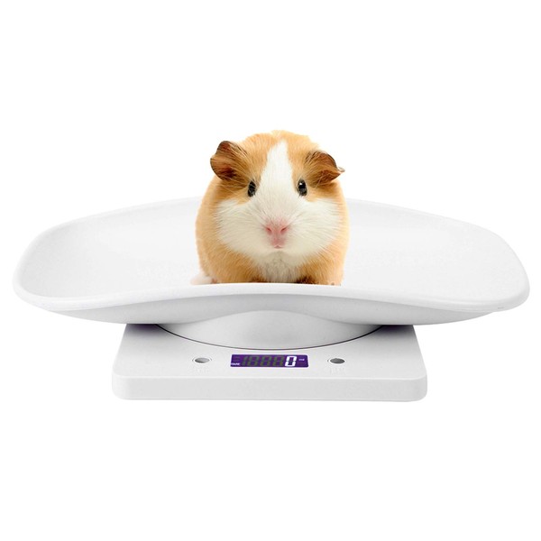 Digital Pet Scale,Multi-Functional LCD Electronic Tray Scales Capacity 10Kg with high Precision 1g for Small Animal and Kitchen Foods