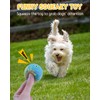 SCHITEC Dog Squeaky Toy Balls, Interactive Squeak Puppy Balls for