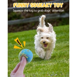 SCHITEC Dog Squeaky Toy Balls, Interactive Squeak Puppy Balls for Fetch Play, Latex Rubber Pet Toy for Puppies Mini Breed Small Dogs