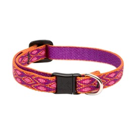 LupinePet Originals 1/2" Alpen Glow Cat Safety Collar , 8-12"